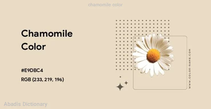 chamomile color